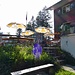 Bier in Sicht