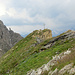 in vista della vetta