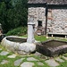 frazione Piane : due fontane scavate nella pietra