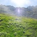 Hier wirkt das Foto steiler, als wie es ist. Der Steig führt unter den beiden NebenGipfeln, links des Girenspitz, hoch