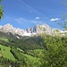 wunderschöner Rosengarten