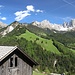 wunderschöner Rosengarten