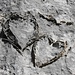 Dono di San Valentino? No, sono <b>fossili di Conchodon</b>. Il Conchodon è un grosso mollusco (fino a 25-30 cm) dei lamellibranchi con guscio a due valve ricurve da una parte, simile ad un "dente concavo", da cui il nome. <br />Questi organismi vivevano circa 200 milioni di anni fa in un mare poco profondo.