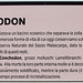 <b>Il Conchodon</b>.