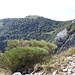 <b>Monte Rai</b> e campi carreggiati sulle pareti del Monte Prasanto.