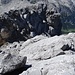 die einzige kurze Kletterstelle (runder Ier) am Grat