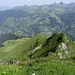 Teile unserer Aufstiegsroute - und der [http://www.hikr.org/tour/post24605.html damaligen],über den Grat direkt zum Gipfel - sind einsehbar