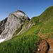 Wanderweg von der Tierwies in Richtung Silberplatten