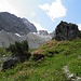 Alpenrosenfelder im Sacktal