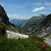 Alpenrosen vor einem der vielen Gipslöcher
