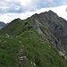 Rückblick zum schmalen Gipfelgrat (schottrig, ausgesetzt, rutschig!) / retrospettiva alla cresta esposta  e alla cima (il sentiero stretto, esposto, scivoloso, coperto di pietrisco!)
