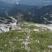 alpine Höhenstufe 300 Meter tiefer