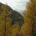 <br /><b>Herbst im Val Tomè<b></b></b>