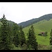 Untere Trockenbachalm, Mangfallgebirge, Thiersee, Tirol, Österreich
