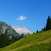 Im Anstieg zur Jöchlspitze mit Blick zur Trettachspitze