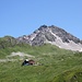 <b>La bellissima Ahornspitze (2973 m) raggiunta in questa splendida giornata estiva.</b>