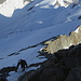Aufstieg vom Hugisattel (4088 m) über den Nordwestgrat zum Finsteraarhorn (4274 m)
