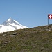 Stimmt, die Schweizerfahne hat wirklich falsche Proportionen :-)