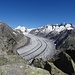 Der Blick auf den Aletschgletscher ist gigantisch!