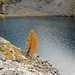 
<b>Ich möchte ja schon gerne wissen, 
was jede Nacht in der Tiefe des Lago di Tomè so allerlei läuft bei den Nixen.<b></b></b>
[https://www.youtube.com/watch?v=voIWNMnpDu8]