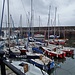 Hafen von North Berwick