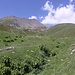 Im Abstieg von der Bethlemi-Hütte - Rückblick über Bergwiesen auf knapp 2.500 m Höhe.
