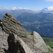 hübsche Felsformationen am Grat - mit Polsternelke - und Ausblick über Wengen zum Männlichen, Schwarz- und Wetterhorn