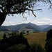 Blick hinüber zum lohnenden Hinterwaldkopf