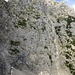 Die beeindruckende Ostwand der Kellenspitze