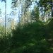 Brecherspitz im Hintergrund