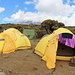 Unsere Zelte in der New Shira Camp auf 3850 m- Kibo im Hintergrund
