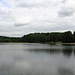 Markvartický rybník (Markersdorfer Teich)