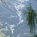Im Aufstieg von Bergün ergeben sich nur selten Blicke aus dem Wald, hier Richtung Val Tuors.
