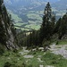 nach einem Tiefblick in die Rinne - und Därstetten ...