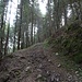 Aufstiegsweg und weite Wiesen- und Waldflächen sind von den Spuren des erst kürzlich niedergegangenen Hagels und Regens gekennzeichnet