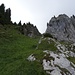 auf ins grasige, steile Couloir (unmittelbar links der Felswand) ...