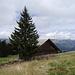... zum Stall auf 1675 m ...