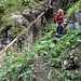 ... welche uns in zahlreichen Serpentinen im Wald, einmal sogar seilgesichert, hinunter leitet ...