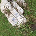 Stein mit blauber Einstiegsmarkierung vom Bärenpfad