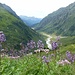 im Abstieg zur Alp Sardasca