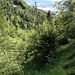 Der Blick zurück aus dem einsamen Falletsche-Grastälchen auf die urbane Zürichsee-Welt.