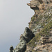 Ein markanter Kopf in der langgezogenen NW-Wand des Piz Predarossa.