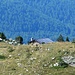Rifugio/bivacco Cros de l'Alp