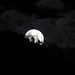 An diesem Abend reisten wir noch ins Maggiatal ins Tessin, wo mir diese tollen Mond-Fotos gelangen