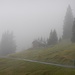 Nebel liegt - auf dem Glattenberg