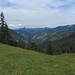Nach dem recht unspektakulären Waldaufstieg zur Rieselsbergalm öffnet sich der Blick zu Roß/Buchstein und Risserkogel
