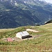 <b>Porcile dell'Alpe Pontino.<br />I maiali consumano i trecento litri di siero che giornalmente vengono prodotti nel caseificio.</b>