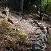 Beim Treffen mit dem BruKa-Trail wird der Hornpfad für einige Meter zu einem luxuriösen Wanderweg.