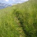 The path beneath Alp de Bec sura
