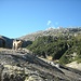Sentiero su roccia tra il Rif. Prandini e il Rif. Gheza.